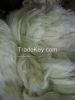 Natural Sisal Fiber of kenyan Origin, offer free samples