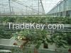 Thermal Shade Screen for Greenhouse cooling LA-12S