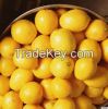 Fresh Eureka Lemon, Li...