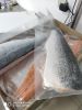 Atlantic Salmon, Hake,...