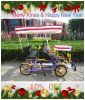 2seaters lovers sightseeing bike tandem bicycle with kid seat