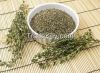 Thyme