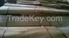 Vietnam core veneer