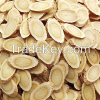 Astragalus/Huang Qi /G...