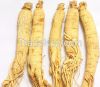 Natural Tonic white red raw ginseng/ Panax ginseng root