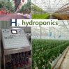 Saving water hydroponi...