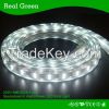 220V SMD3528 2 Row LED strip light