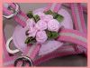 Pink Rose Dog Harness and Leash