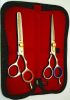 Beauty Care Kit Hair Scissors For Cutting Hair