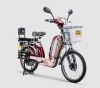 E-bike electric bicycle Bicimotos Bicicletas urban motobike with pedals