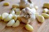 Dehydrated Garlic and ...