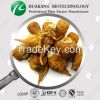 High Quality Maca Extract