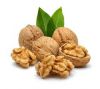 walnut kernels