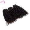 Elesis Virgin Hair 3 B...