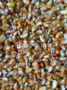 Brazilian Brown Eye Beans, Cowpeas, Popcorn, Non-Corn GMO and Yellow Millet