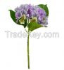 artificial flowers hydrangeas in Factory Price for Wedding silk flower(SF-01-394)
