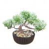 China wholesal mini artificial bonsai,artificial plants for office&home decoration