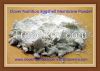 CNS037 Eggshell Membra...