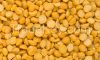 Chickpeas, Kabuli Chic...