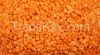 Lentils, Whole lentils...