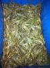 Farmed Fresh/Frozen Va...