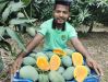 Mangos 
