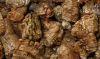 vermiculite