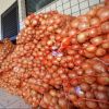 Natural Fresh Yellow, White and Red Onions