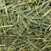 Timothy grass hay supp...
