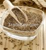 Cumin Seed