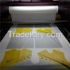 Digital Textile Printi...