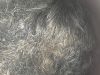 Jute Stick Charcoal Po...