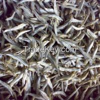 Dried Anchovy