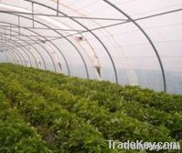 Greenhouse Cover