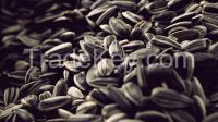 Striped sunflower seeds