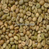 Robusta Coffee Beans