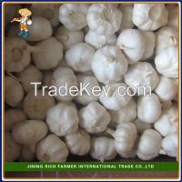 Top Quality 5.0cm 450g Bag Snow White Chinese Garlic