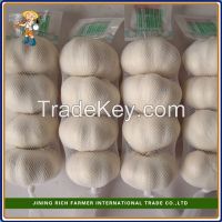 Top Quality 5.0cm 450g Bag Snow White Chinese Garlic