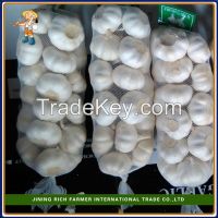 Top quality 5.0cm 450g bag snow white Chinese garlic