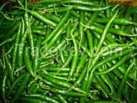 Green Chillies