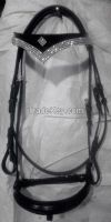 Bridle  From India