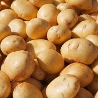 Potatoes