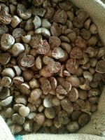 Dried Betel Nuts