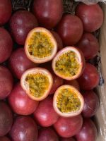 Fresh Passion Fruit