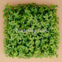 Factory Direct Artificial Buxus Boxwood Plant Made in China