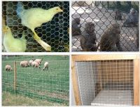 high security fence, hexagonal wire mesh, used fencing for sale From China