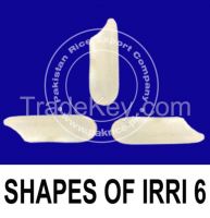 IRRI 6 RICE