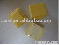 encapsulated transformer