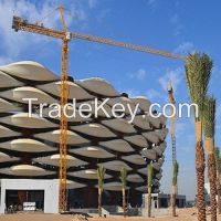 tower crane H3/36B From China