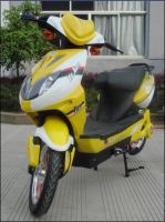 Electric Bicycle From China